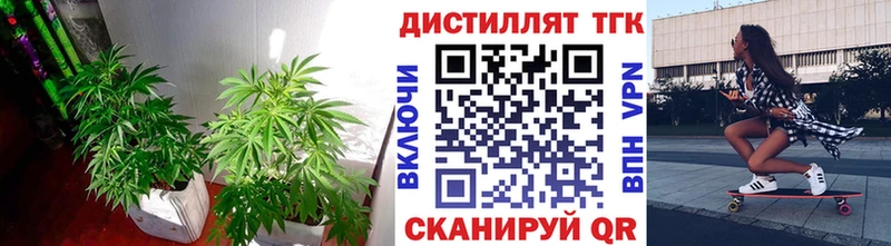 Дистиллят ТГК концентрат  omg рабочий сайт  Семёнов 