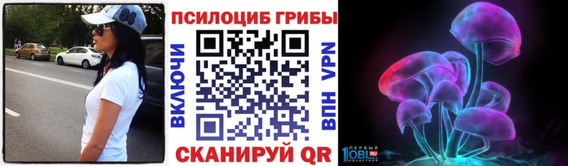 Галлюциногенные грибы Psilocybe Семёнов
